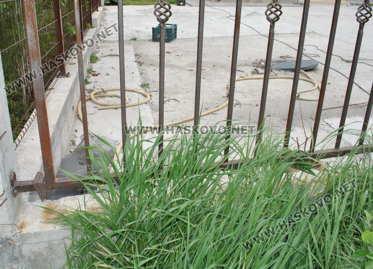 Хасковлии недоволстват заради миризма от септична яма