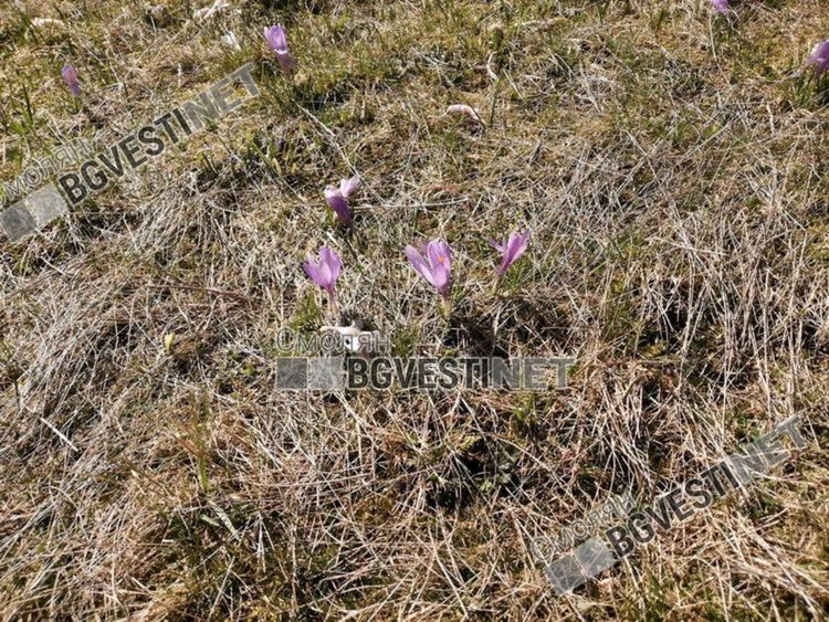 Предимно слънчево на 7 май, следобяд ще се заоблачи, но без валежи