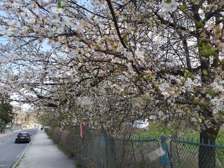 Повечко облаци на хоризонта,ветровито днес в Кърджали