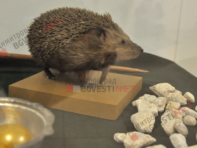 Интерактивна изложба „Народна астрономия и метеорология” представят в Димитровград