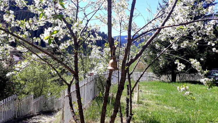 Епископ Висарион: „Делото на светите братя озари и просвети в Христовата истина всички славянски народи“   