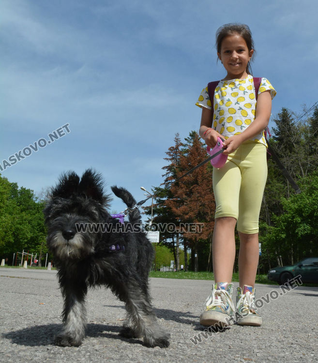 Днес времето ще е подходящо за разходка