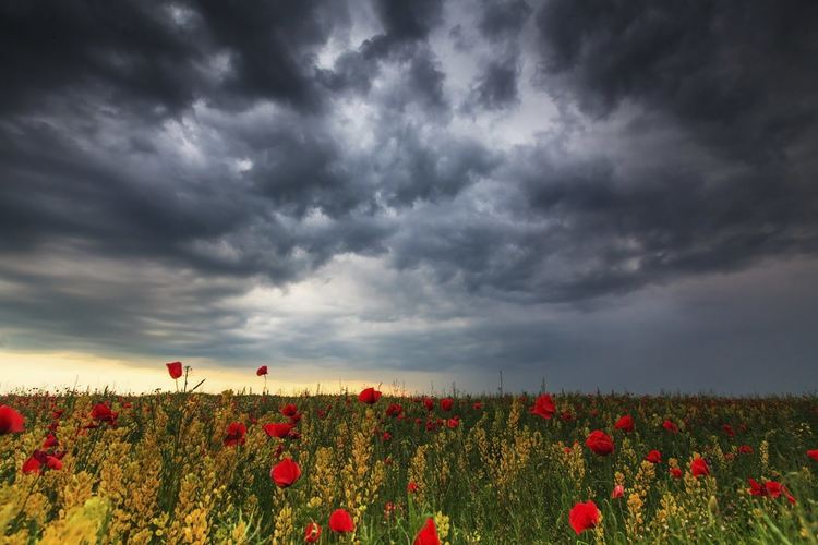 Слънчева сутрин, дъжд следобяд