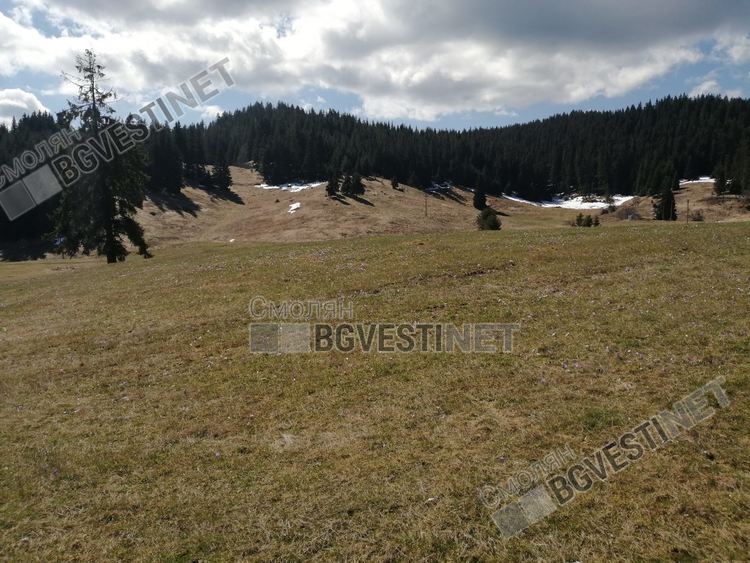 Слънчево и топло на 14 май, в късния следобед ще се заоблачи
