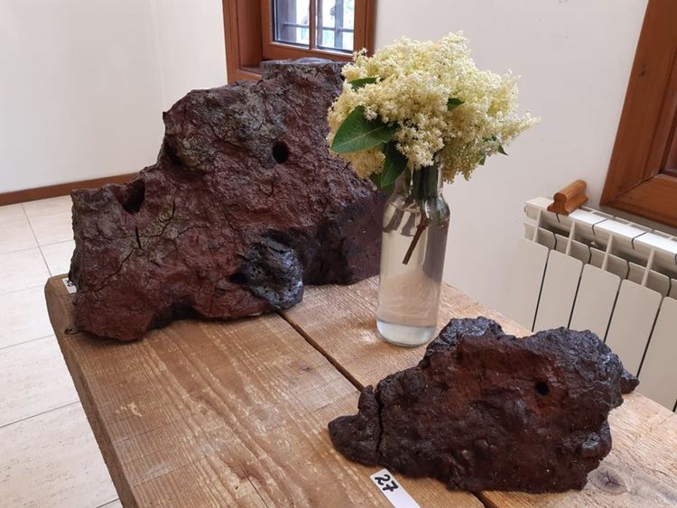 Изложба в камък на Огнян Читаков и работилница по каменоделие в Асеновград (снимки)