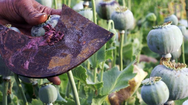 „Престъплението на века“ на HBO разследва индустрия за милиарди долари