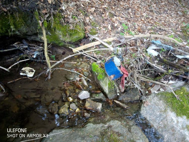 Доброволци почистват село Полковник Серафимово