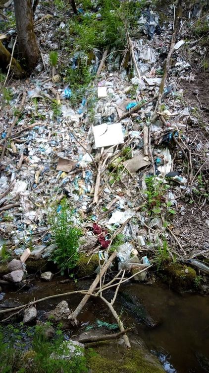 Доброволци почистват село Полковник Серафимово