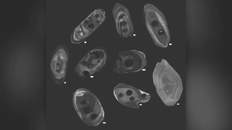 Кристали циркон, които са заснети с катодолуминесценция, метод, който позволява на учените да изобразяват вътрешността на кристалите със специализиран сканиращ електронен микроскоп. Забележете тъмните кръгове върху цирконите - това са кухини, оставени от лазера, който е използван за определяне на възрастта и химията на цирконите. (Кредит на изображението: Майкъл Акерсън / Смитсониън)