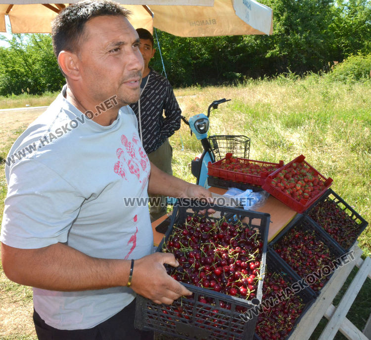 Производители от Крепост: Реколтата от череши е слаба, сланата ги попари