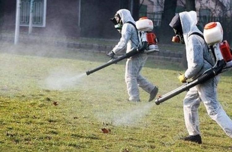 Община Смолян започва пръскане на тревните площи срещу кърлежи и бълхи