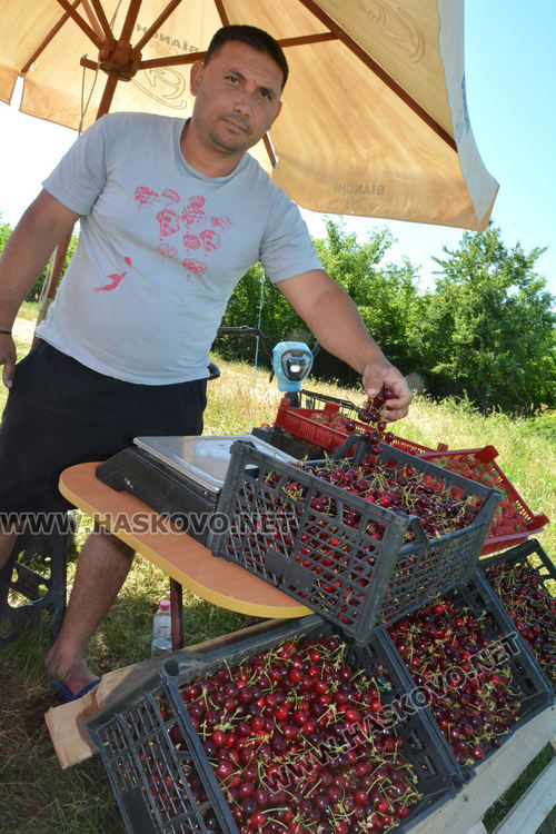 Райчо Колев