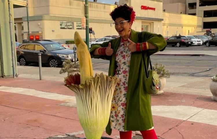 Американец покани съседите си да се полюбуват и да помиришат цъфтящо трупно цвете