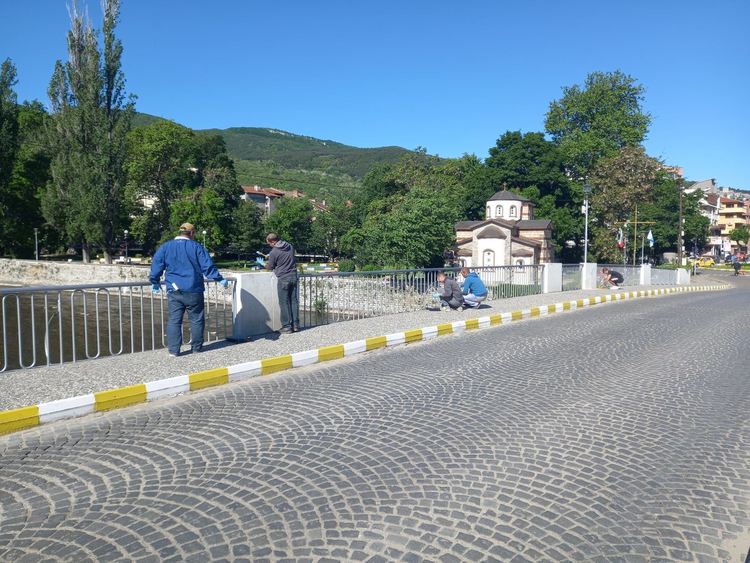 Община Асеновград и граждани заедно освежават обществената среда в града