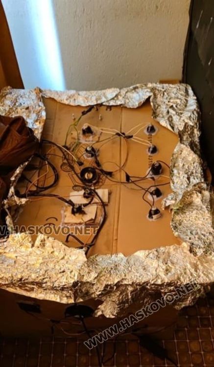 Баща и син  в ареста за отглеждане на канабис и разпространение на дрога