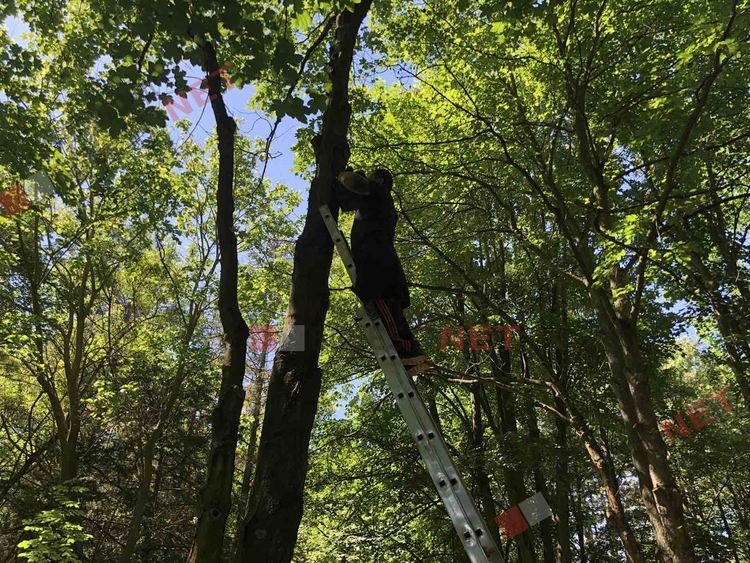 Добрият пример: нова доброволческа инициатива в  димитровградските паркове