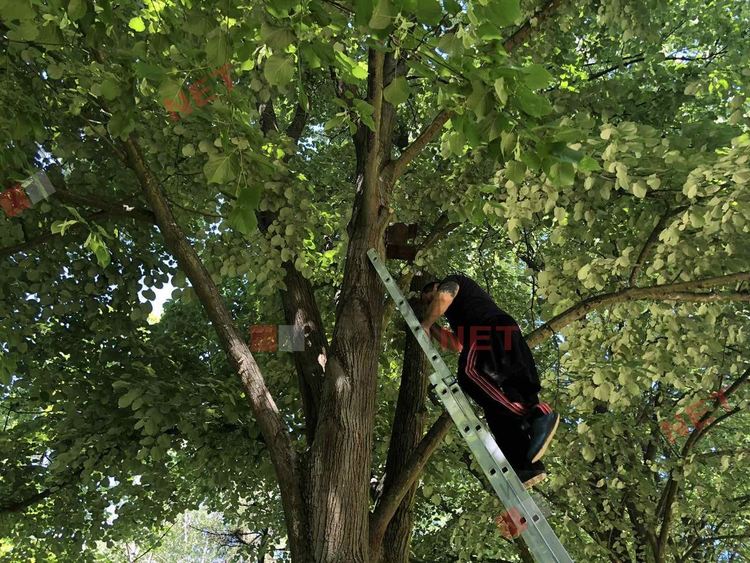 Добрият пример: нова доброволческа инициатива в  димитровградските паркове