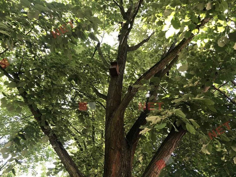 Добрият пример: нова доброволческа инициатива в  димитровградските паркове