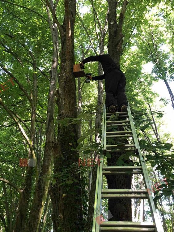 Добрият пример: нова доброволческа инициатива в  димитровградските паркове