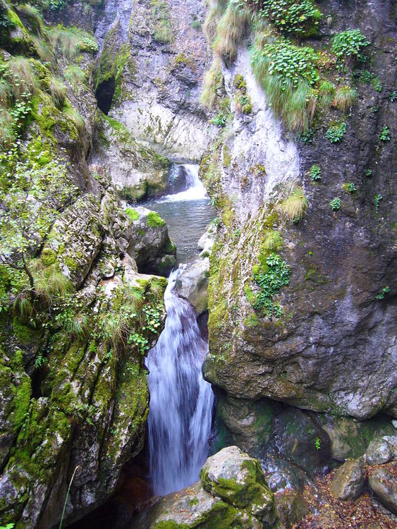 Издирваха по тъмно изгубени рускини край Ягодинска пещера