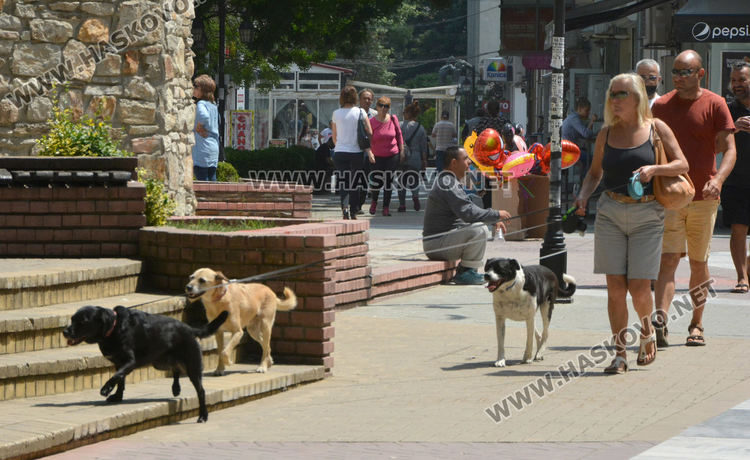 Недостиг на преброители в Хасково и Димитровград