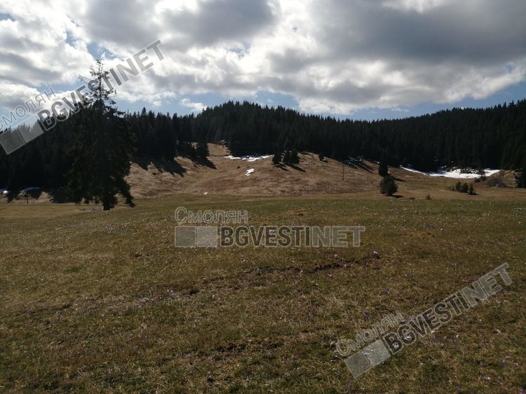 Жълт код за гръмотевични бури и локални интензивни валежи