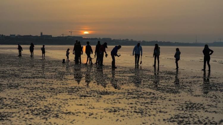 Близо тон кокаин изхвърли морето на британски плаж