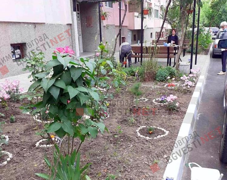 Добрият пример: Как една новоасфалтирана улица може да провокира хората