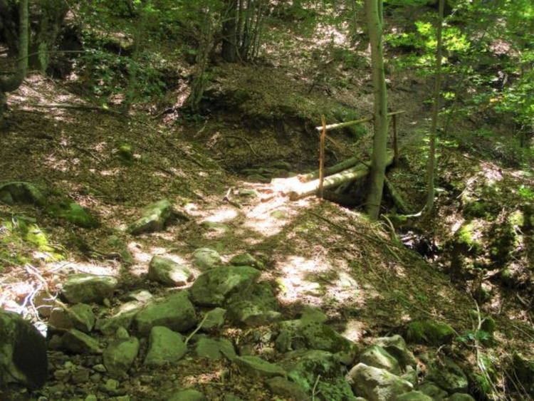 Доброволци ще чистят Арда от извора до село Смилян