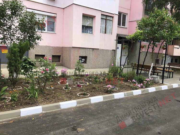 Добрият пример: Как една новоасфалтирана улица може да провокира хората