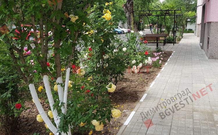 Добрият пример: Как една новоасфалтирана улица може да провокира хората