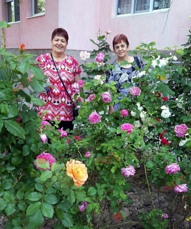 Добрият пример: Как една новоасфалтирана улица може да провокира хората