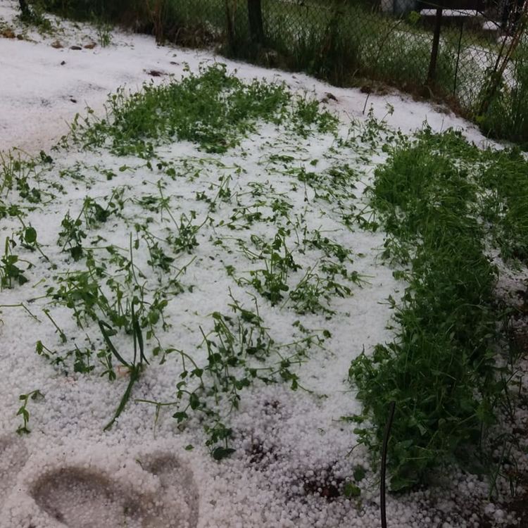 Градушка изравни всичко със земята, пороите превърнаха улиците в реки /ГАЛЕРИЯ/