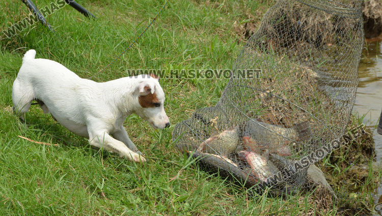 Риболовен турнир организират на язовир Черногорово