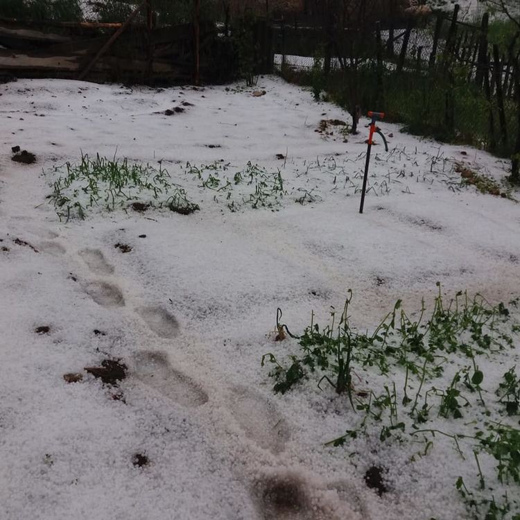 Градушка изравни всичко със земята, пороите превърнаха улиците в реки /ГАЛЕРИЯ/