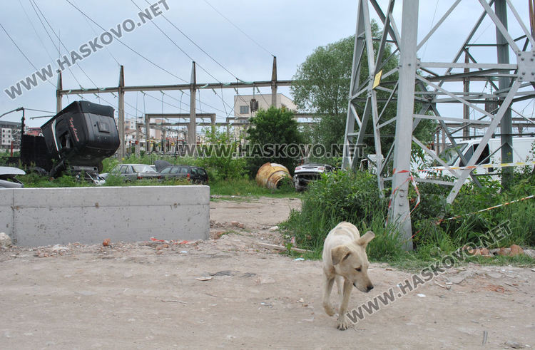 До края на юли разчистват незаконната автоморга в Хасково, строят ограда до стълбове