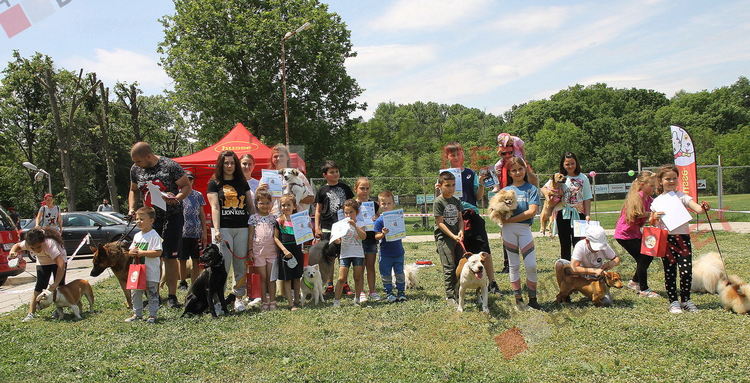 Десетки малчугани и техните кучета се забавляваха и състезаваха в парк Марица