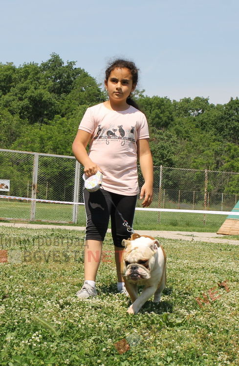 Десетки малчугани и техните кучета се забавляваха и състезаваха в парк Марица