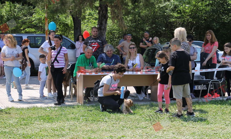 Десетки малчугани и техните кучета се забавляваха и състезаваха в парк Марица