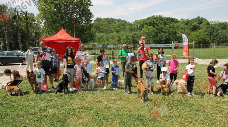 Десетки малчугани и техните кучета се забавляваха и състезаваха в парк Марица