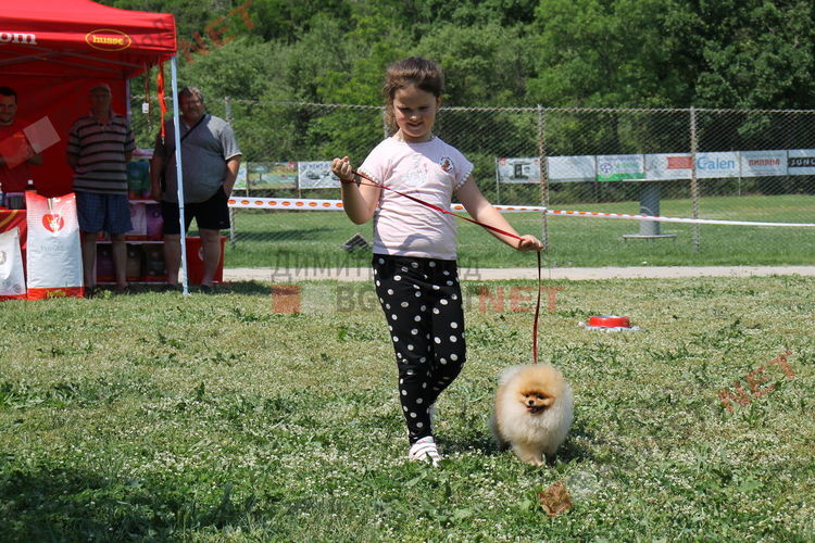 Десетки малчугани и техните кучета се забавляваха и състезаваха в парк Марица