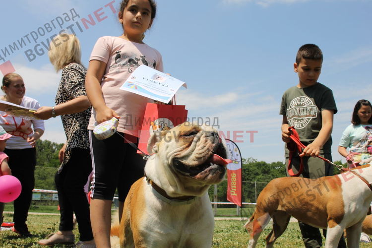 Десетки малчугани и техните кучета се забавляваха и състезаваха в парк Марица