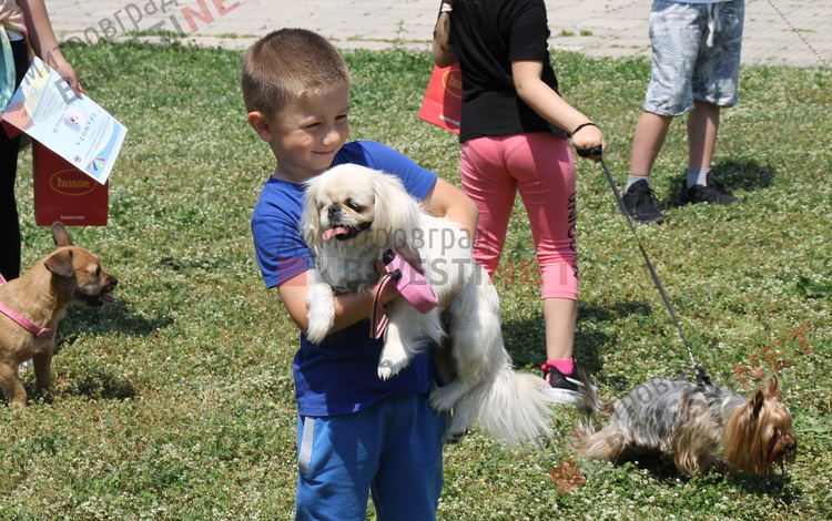 Десетки малчугани и техните кучета се забавляваха и състезаваха в парк Марица