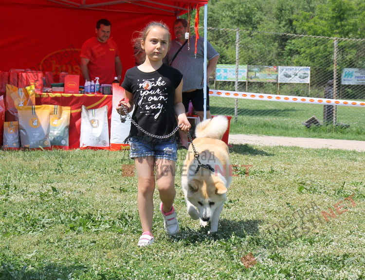 Десетки малчугани и техните кучета се забавляваха и състезаваха в парк Марица