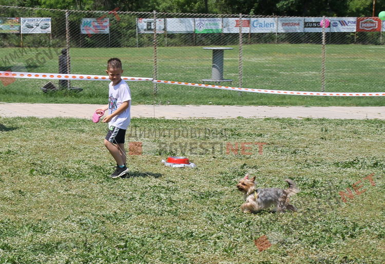 Десетки малчугани и техните кучета се забавляваха и състезаваха в парк Марица