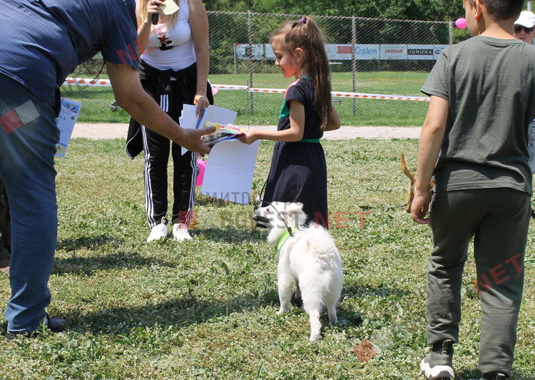Десетки малчугани и техните кучета се забавляваха и състезаваха в парк Марица