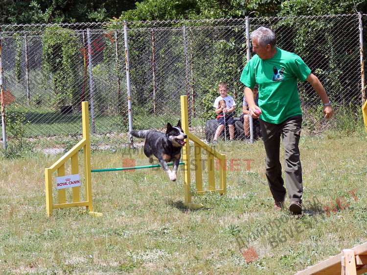 Десетки малчугани и техните кучета се забавляваха и състезаваха в парк Марица