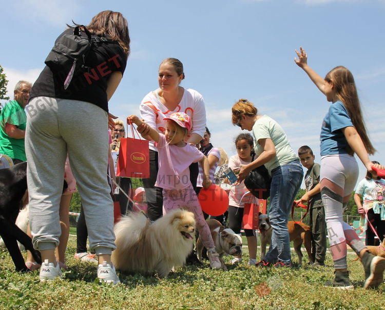 Десетки малчугани и техните кучета се забавляваха и състезаваха в парк Марица