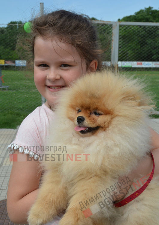 Десетки малчугани и техните кучета се забавляваха и състезаваха в парк Марица