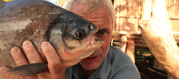 Трети сезон на „Речни чудовища“ с Джереми Уейд по Viasat Explore